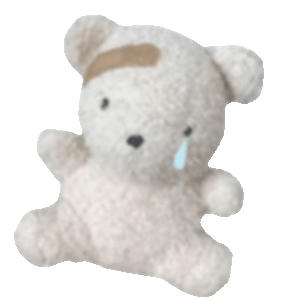 bear