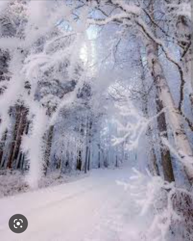 Screenshot_20221125-001730_Chrome