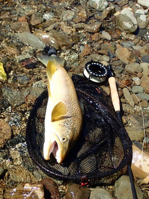 2FA7A6FE-1262-427A-B2EF-889A651A2A27