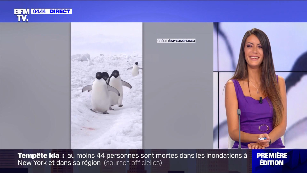 09.03 - 03.30.00 - Première édition. Un nouveau tandem prend les comm....ts_snapshot_00.20.59_[2021.
