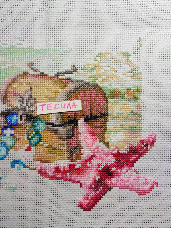 IMG 20260223 131147 095