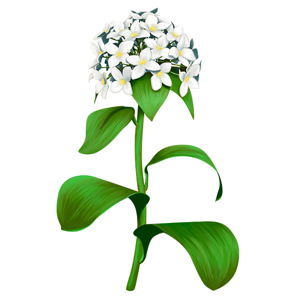 KBK_SpringSurprise (40)