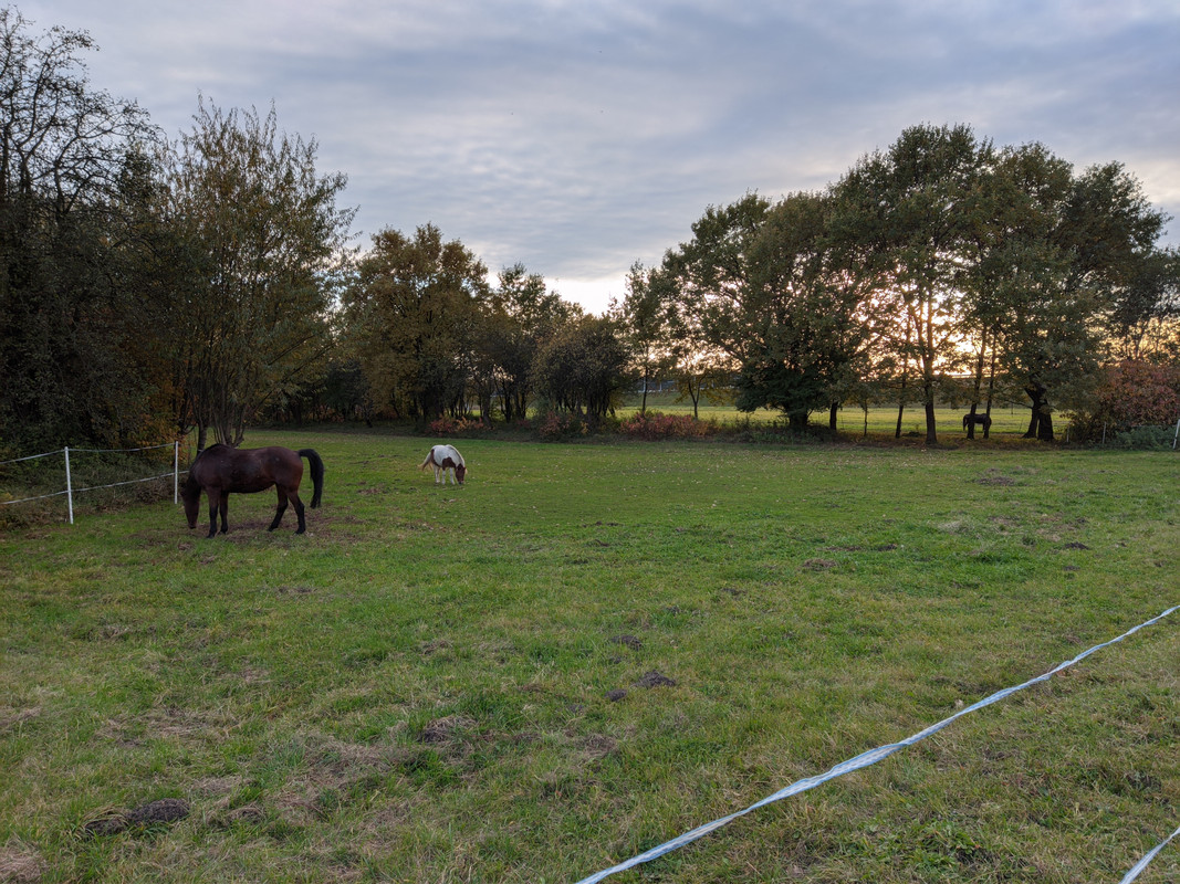 PXL_20211019_164817_P-Z-D4.1MrDrew_ZSL.xml