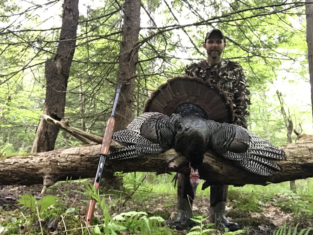 5F52069A-9E0D-416C-BBD2-98F6A0EEF341