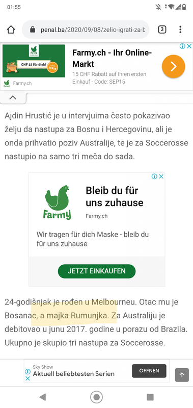 slika