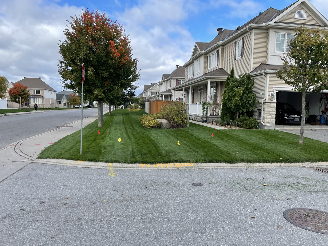 D621700C-EE85-443C-A1CE-A5E192A63C5A