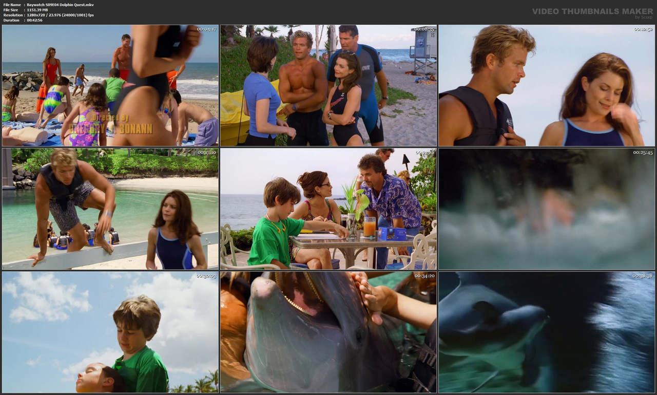 Baywatch S09E04 Dolphin Quest.mkv