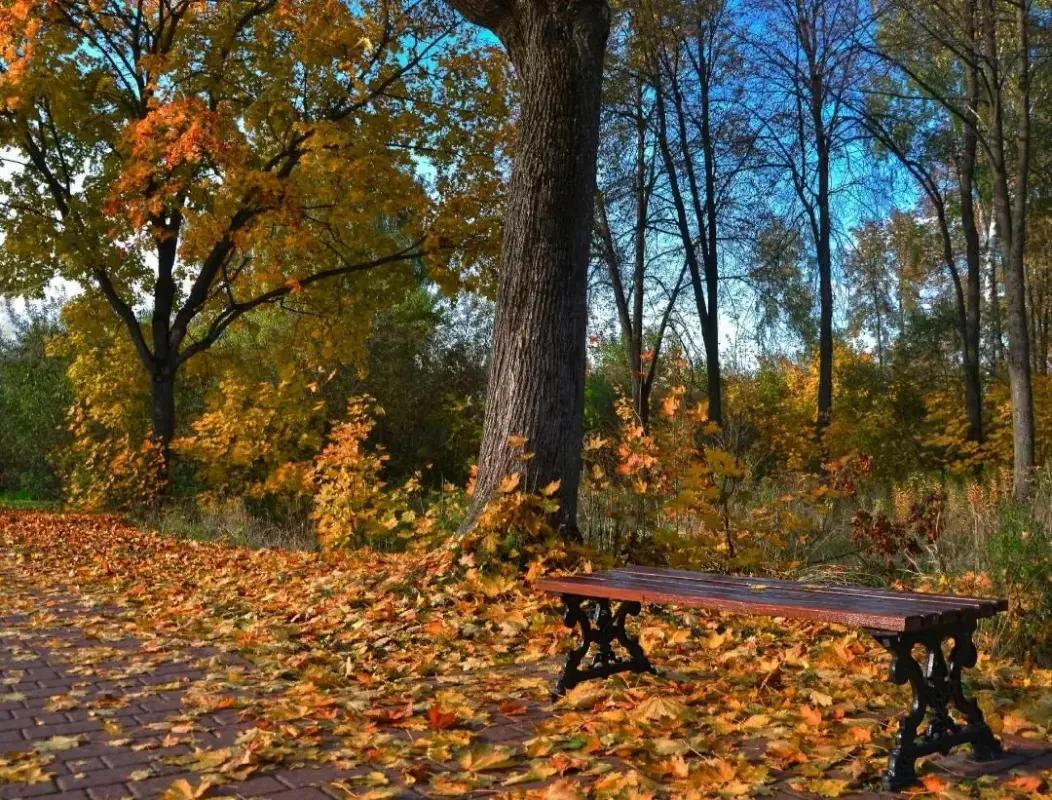 1вп