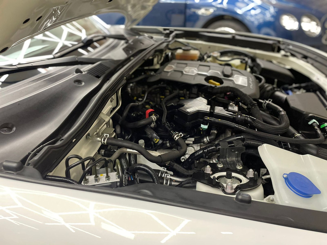 WhatsApp Image 2022-03-07 at 10.34.01 (5)