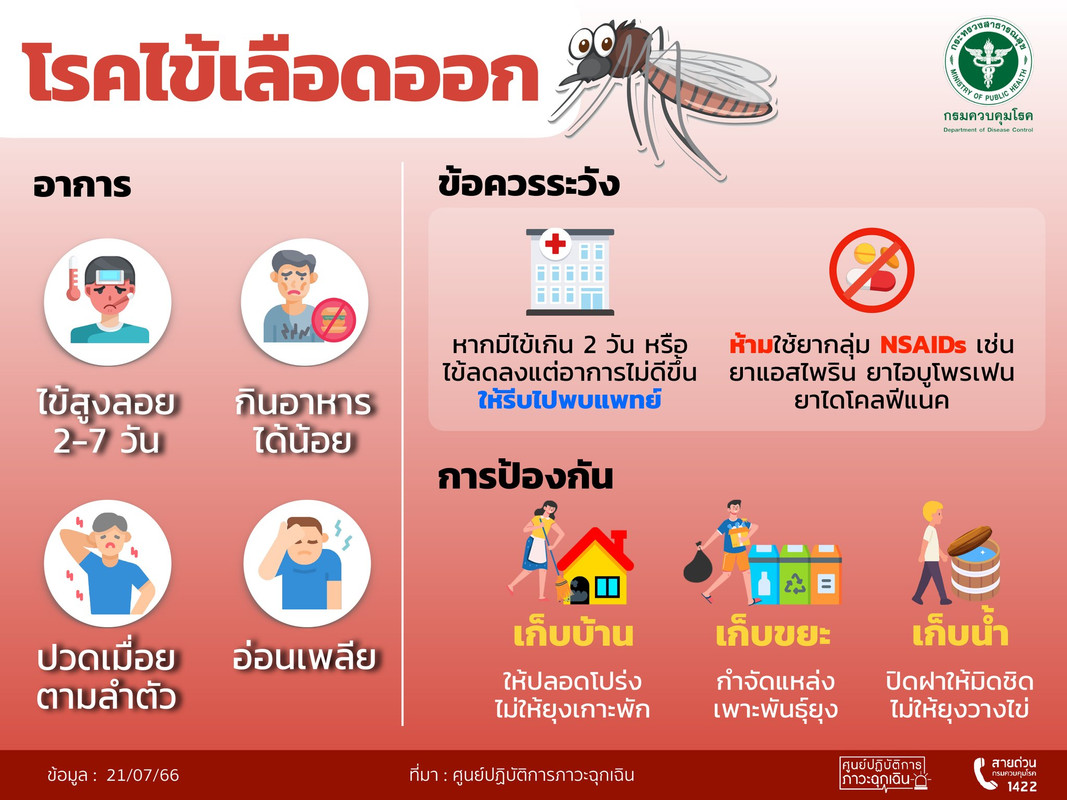 mos Dengue Hemoorrhagic Fever