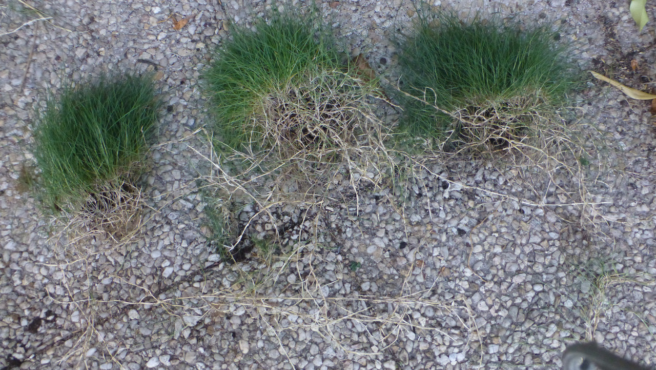 P1090766 — Postimages