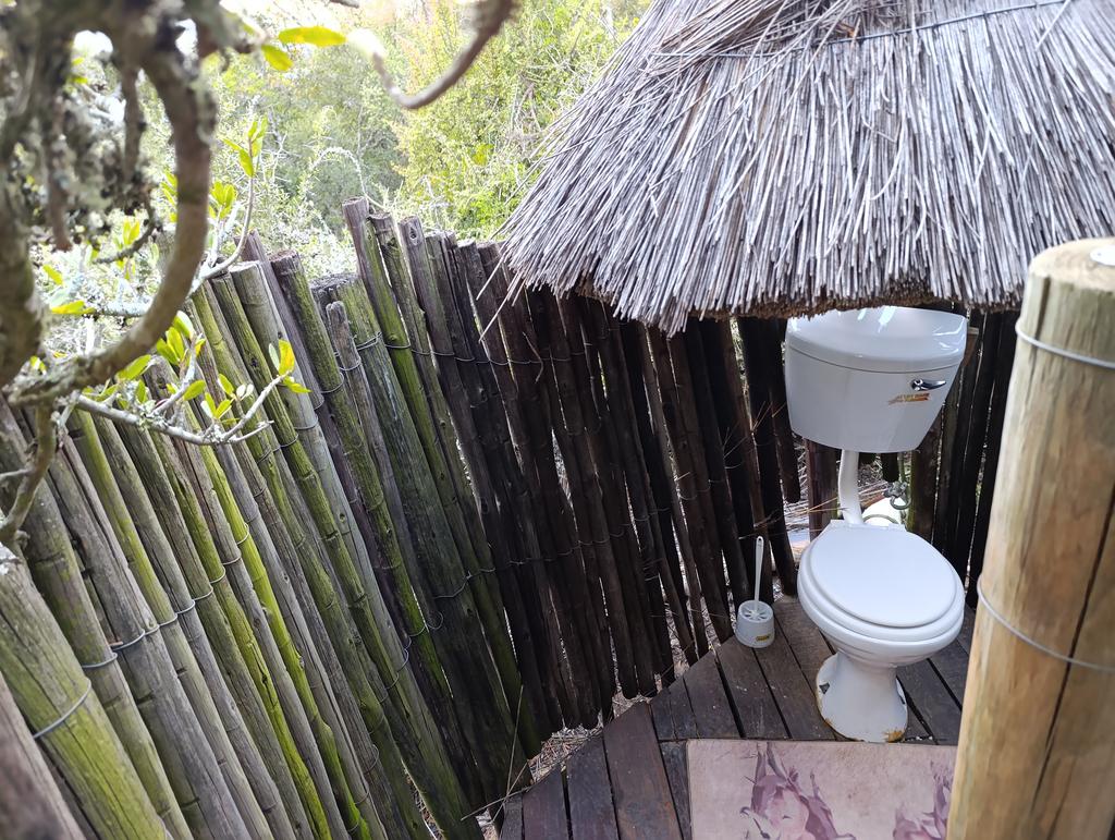 Такая близкая Африка. (ЮАР. 22 дня и 4200 км. Ноябрь-Декабрь)