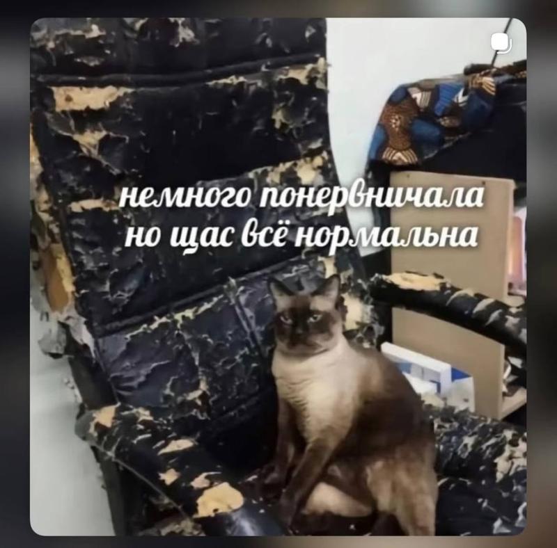 IMG 20260617 193936 552
