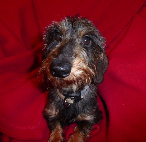 [Image: P1050948.jpg]