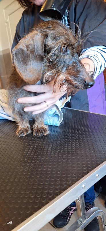 [Image: 20250305-142950.jpg]