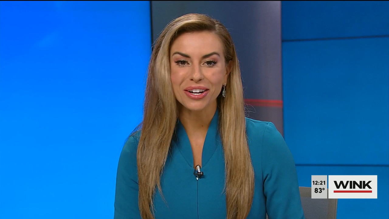 04.14 - 17.00.00 - The WINK Noon News  ᴺᵉʷ. Midday news update..ts_snapshot_27.21.287