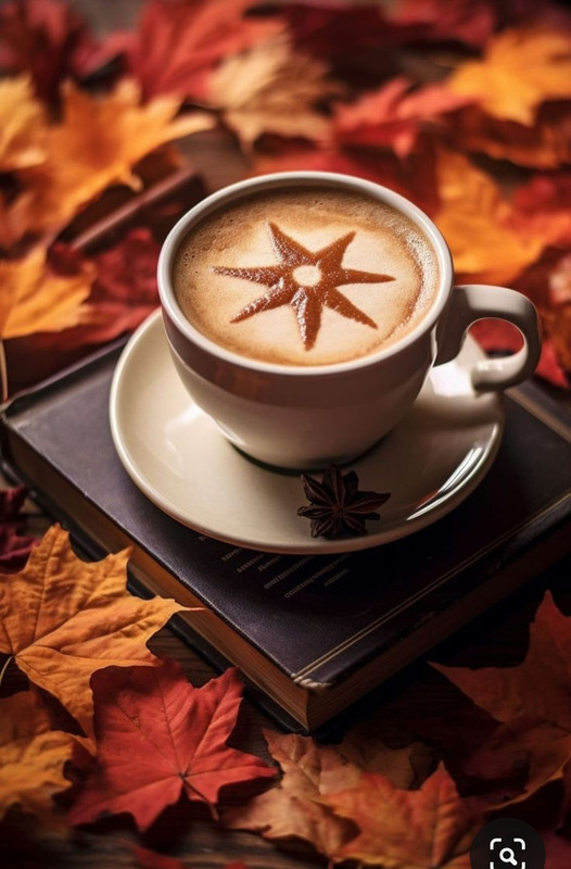 Screenshot_20231008_214537_Pinterest