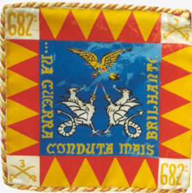 BCav682