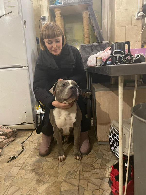 6C2B8EDF-2C4B-4872-8F8B-C0255A880066