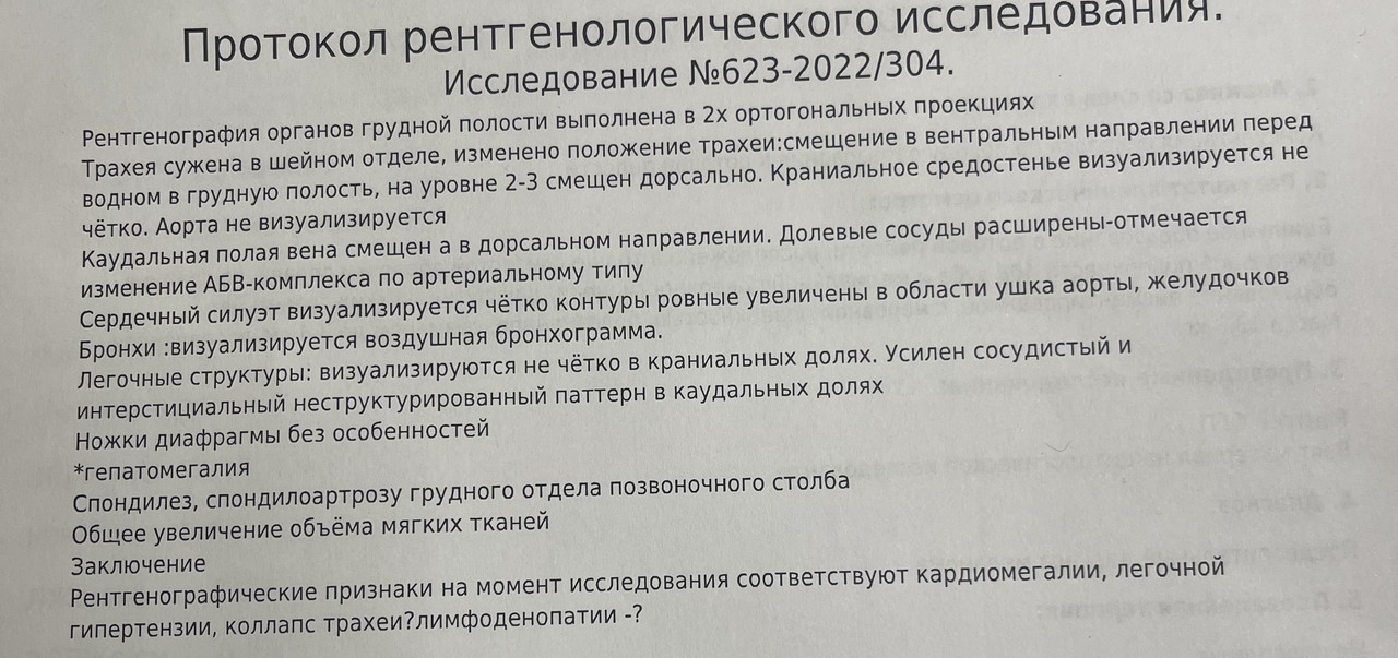 8095716C-8165-4F14-A5F3-1495231D1426