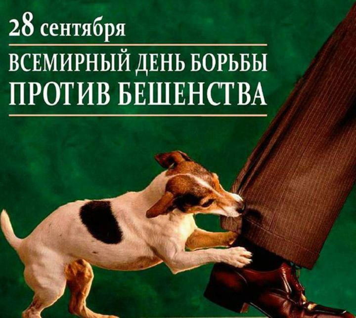 IMG_20230928_112647_901