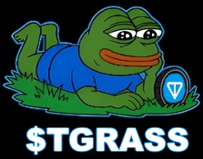Touch the grass