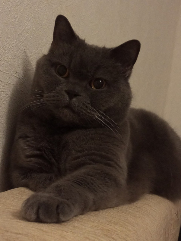 IMG_20230318_153017_684