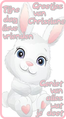 blogjes8dec.png