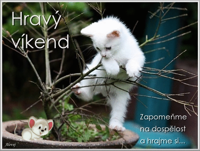 V-kend-hrav.gif