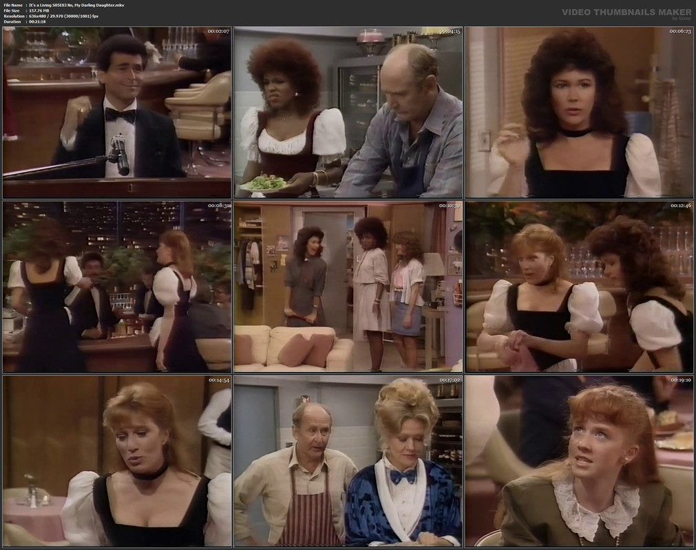 It's a Living S05E03 No, My Darling Daughter.mkv