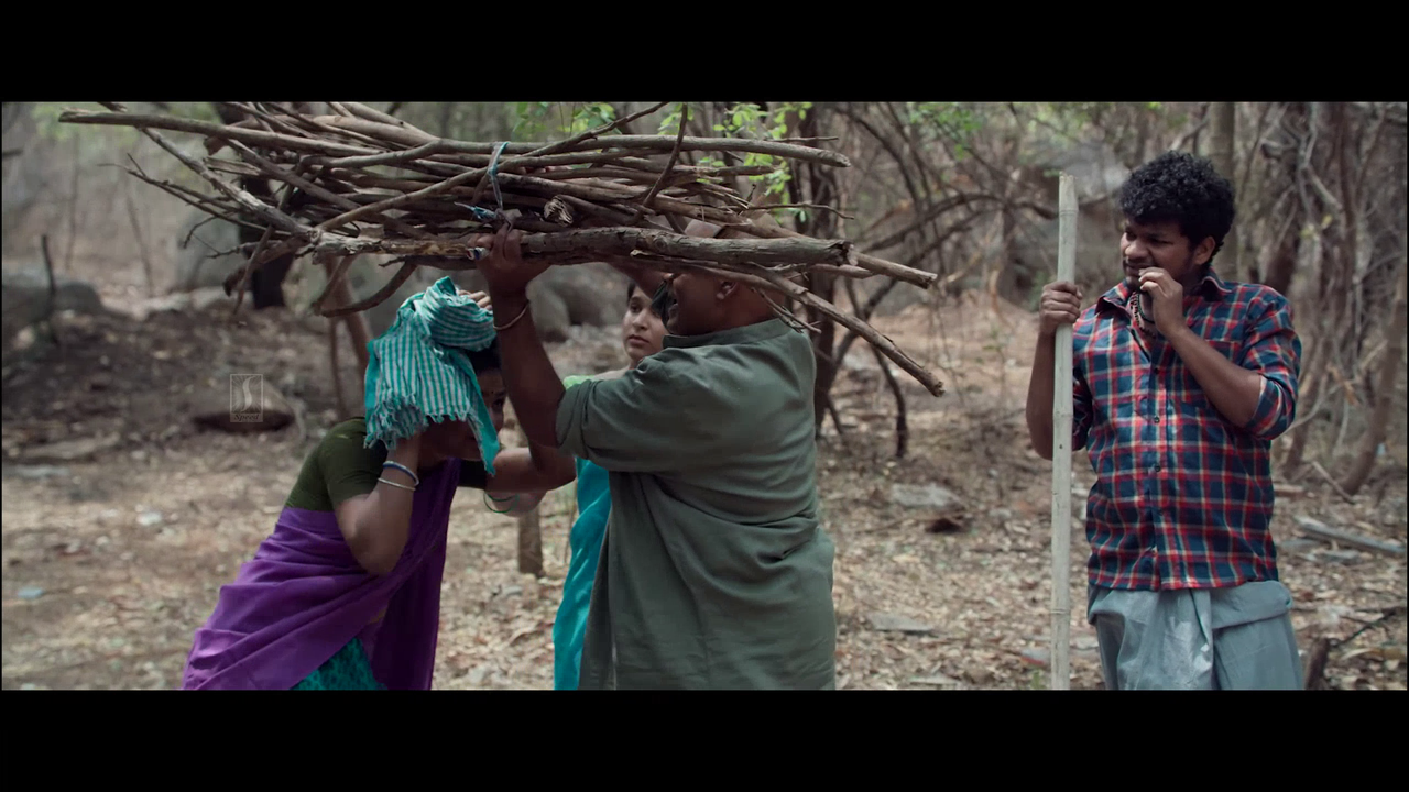 vlcsnap 2025 11 02 08h37m44s439