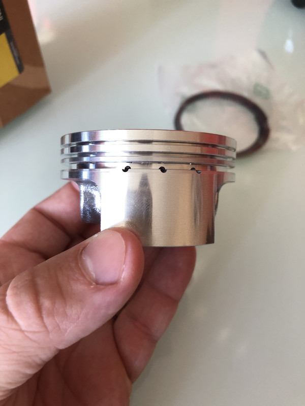 B5187F68-5741-4D00-B900-30F808B1BD45