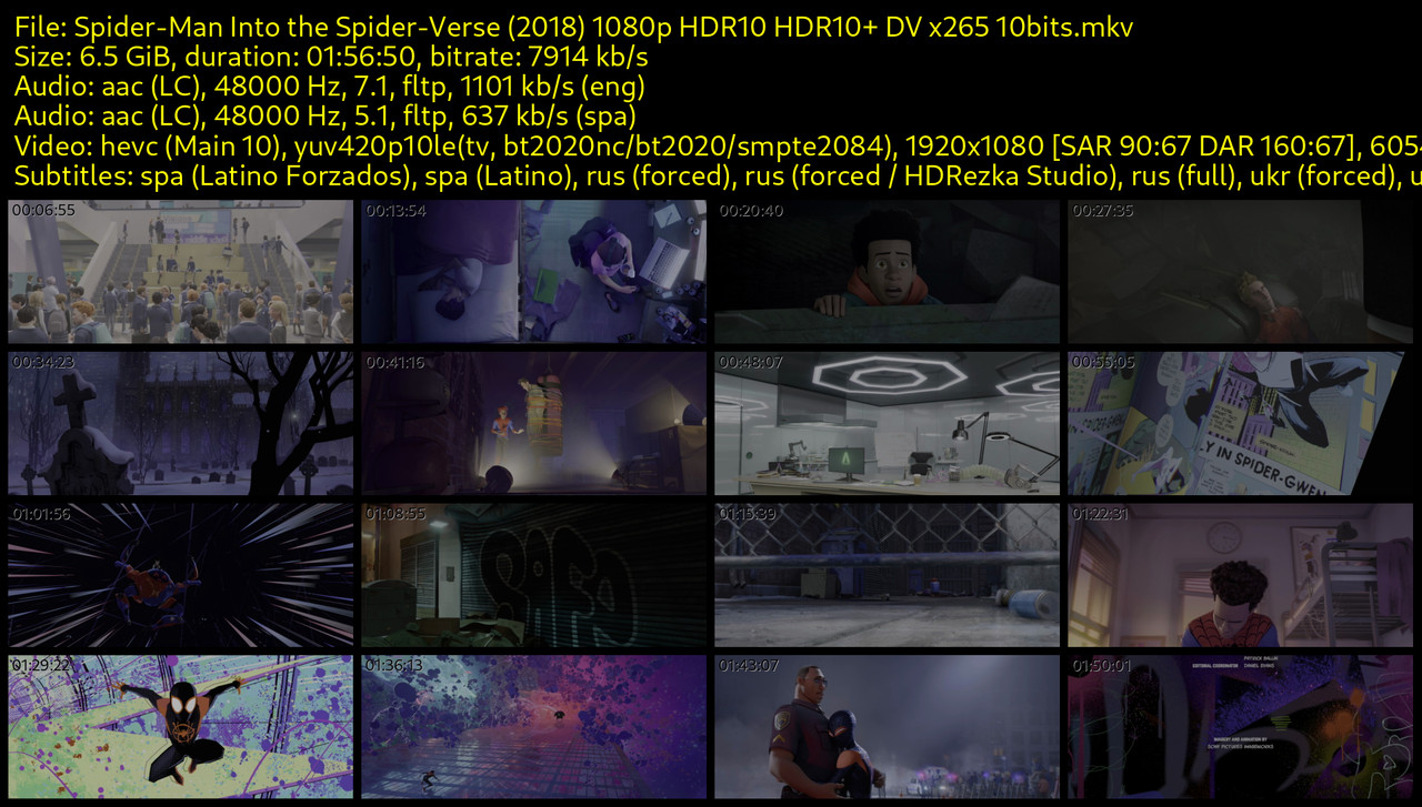 Spider-Man-Into-the-Spider-Verse-2018-1080p-HDR10-HDR10-DV-x265-10bits-s.jpg
