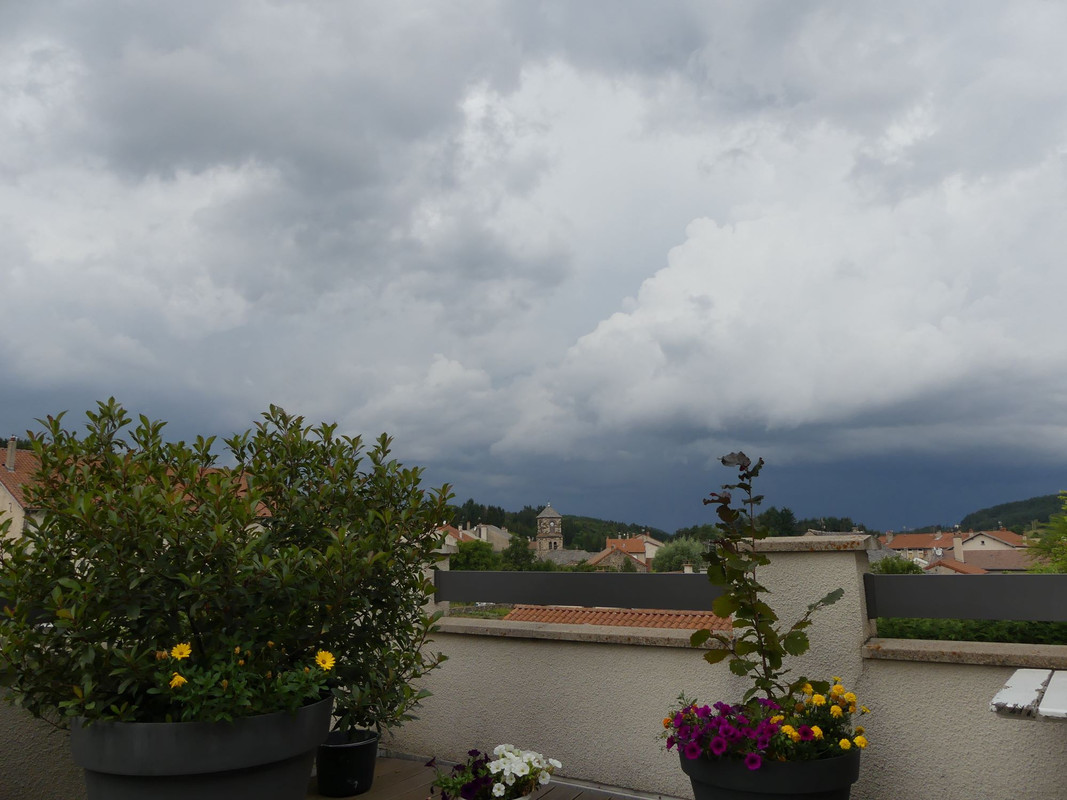 P1090853.jpg