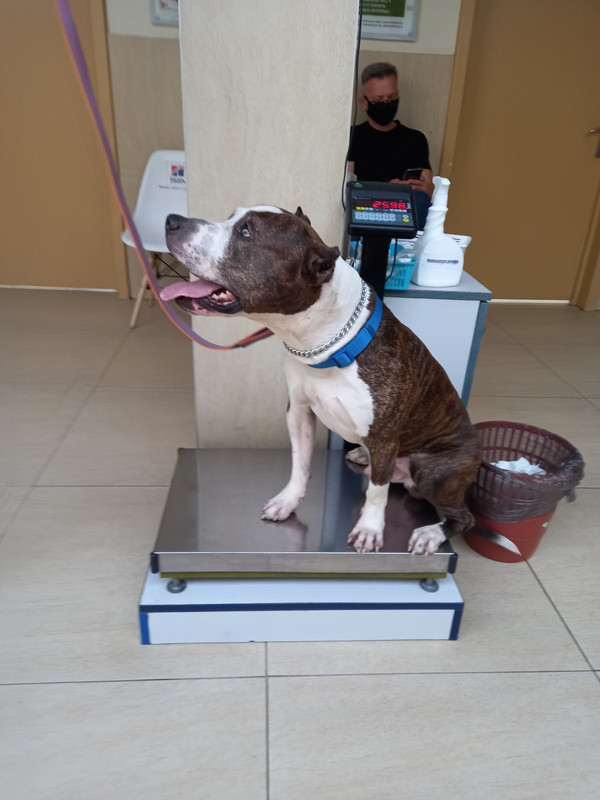 792387FD-9265-453E-B961-6BBB9DA5F291