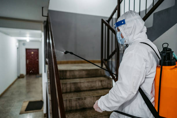 pest-control-4.jpg
