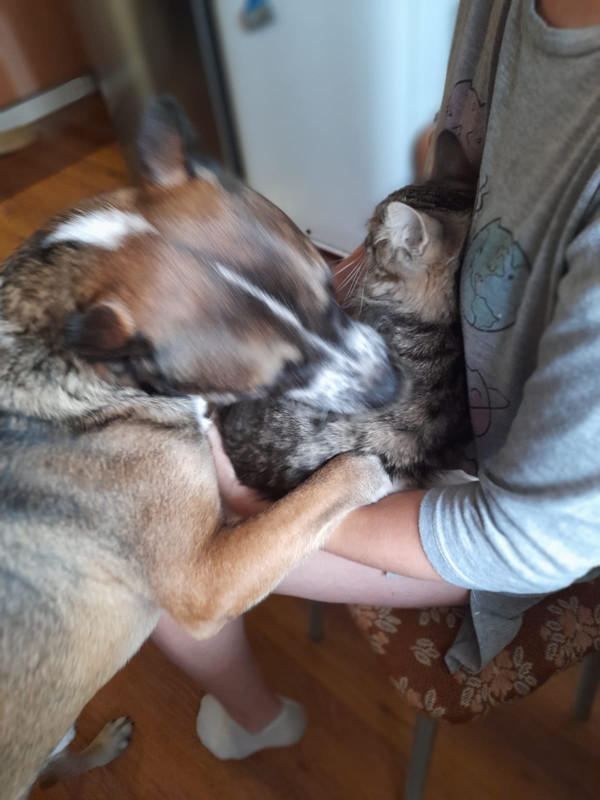 B311BB11-8482-4447-B33F-FF73F0BFBEAE