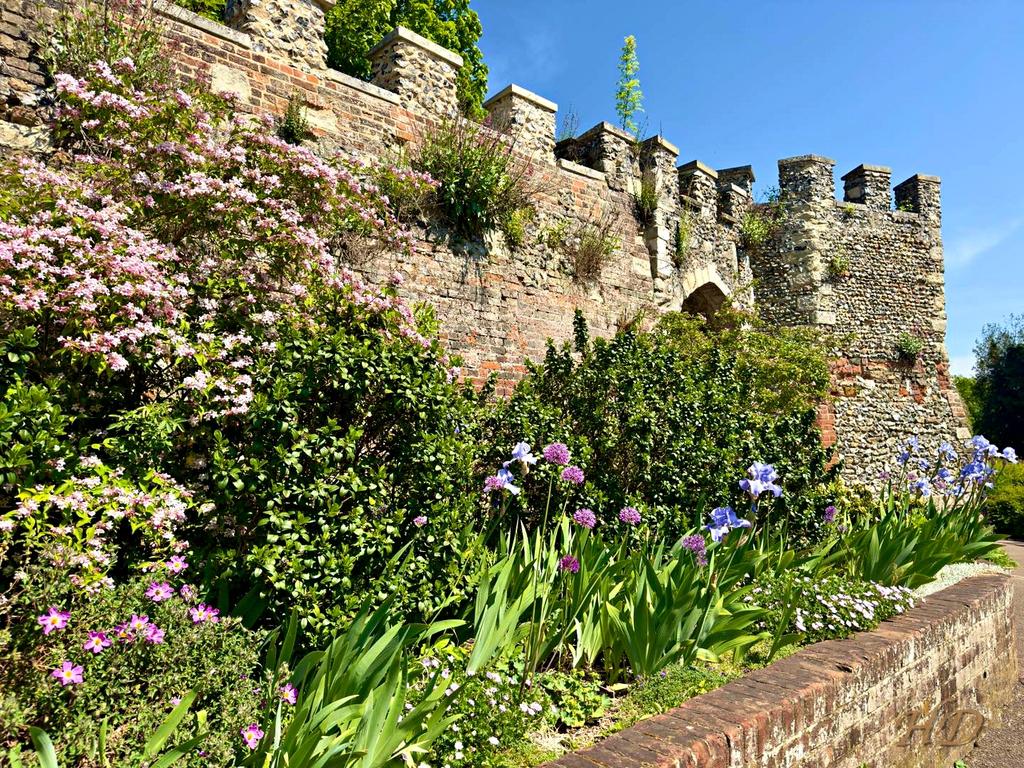 Flowers-spring-Castle-HD.jpg