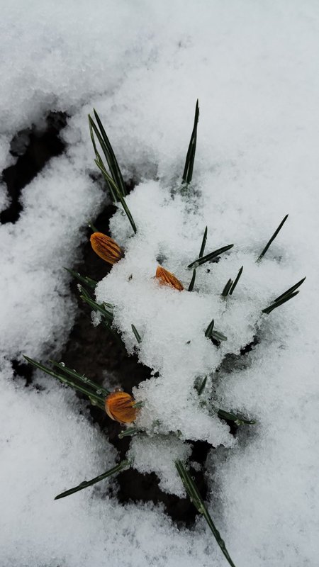 изображение_viber_2025-02-03_11-28-49-967