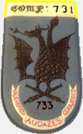CArt731
