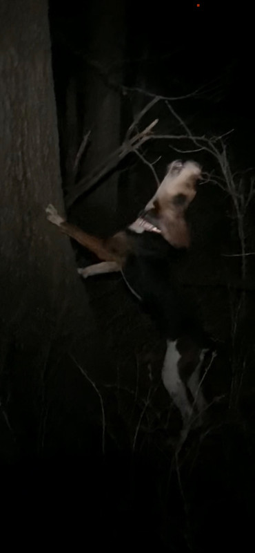 AC24D848-08AC-4E34-9B71-DD6D4AE2CE4F