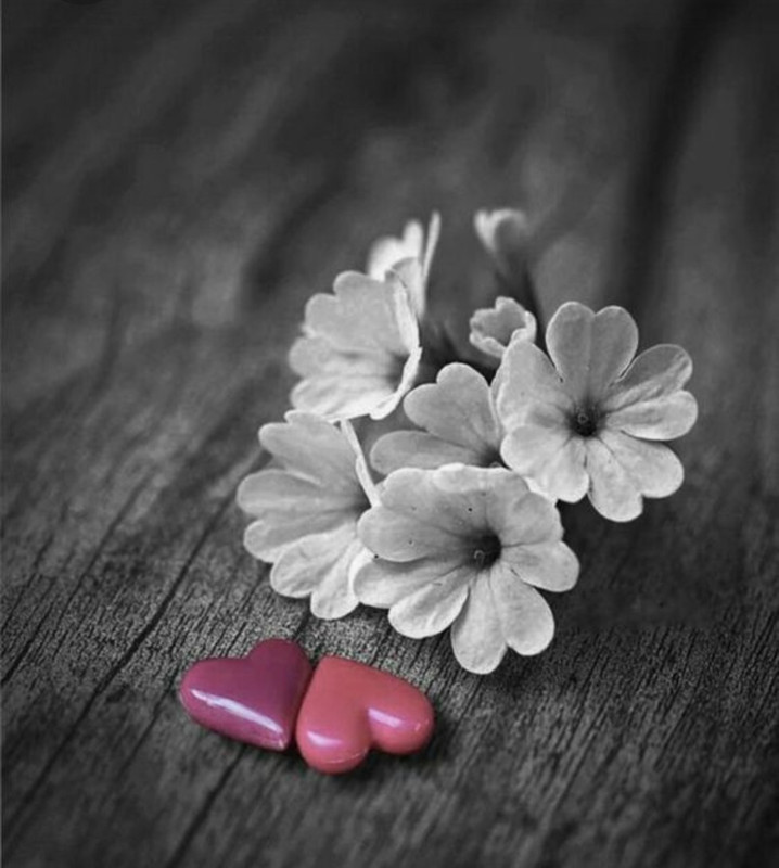 Screenshot_20230409_223906_Pinterest