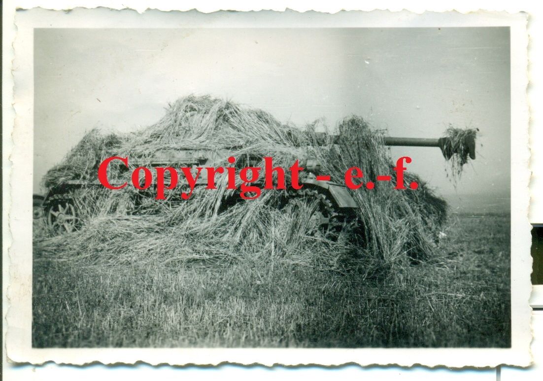 Div.Gr. GÜMBEL  Getarnter PANZER deutsch -LANGRO