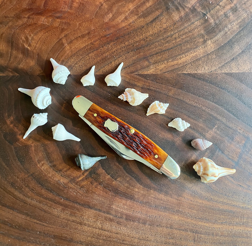 20A67A14-A0FB-44C4-A27C-A0D381B712EB