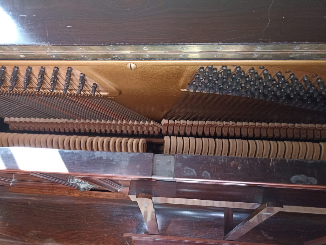 0979253f-437a-11ef-b9c8-1b1f857942f6