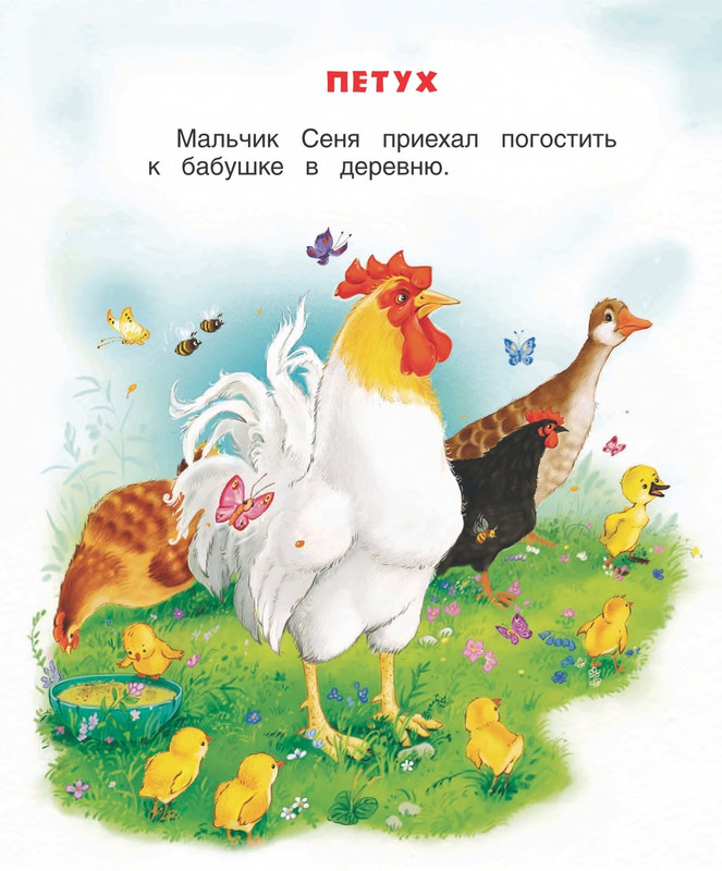 Georgijev-Sergej-U-babushki-v-derevne-2014-page-0005