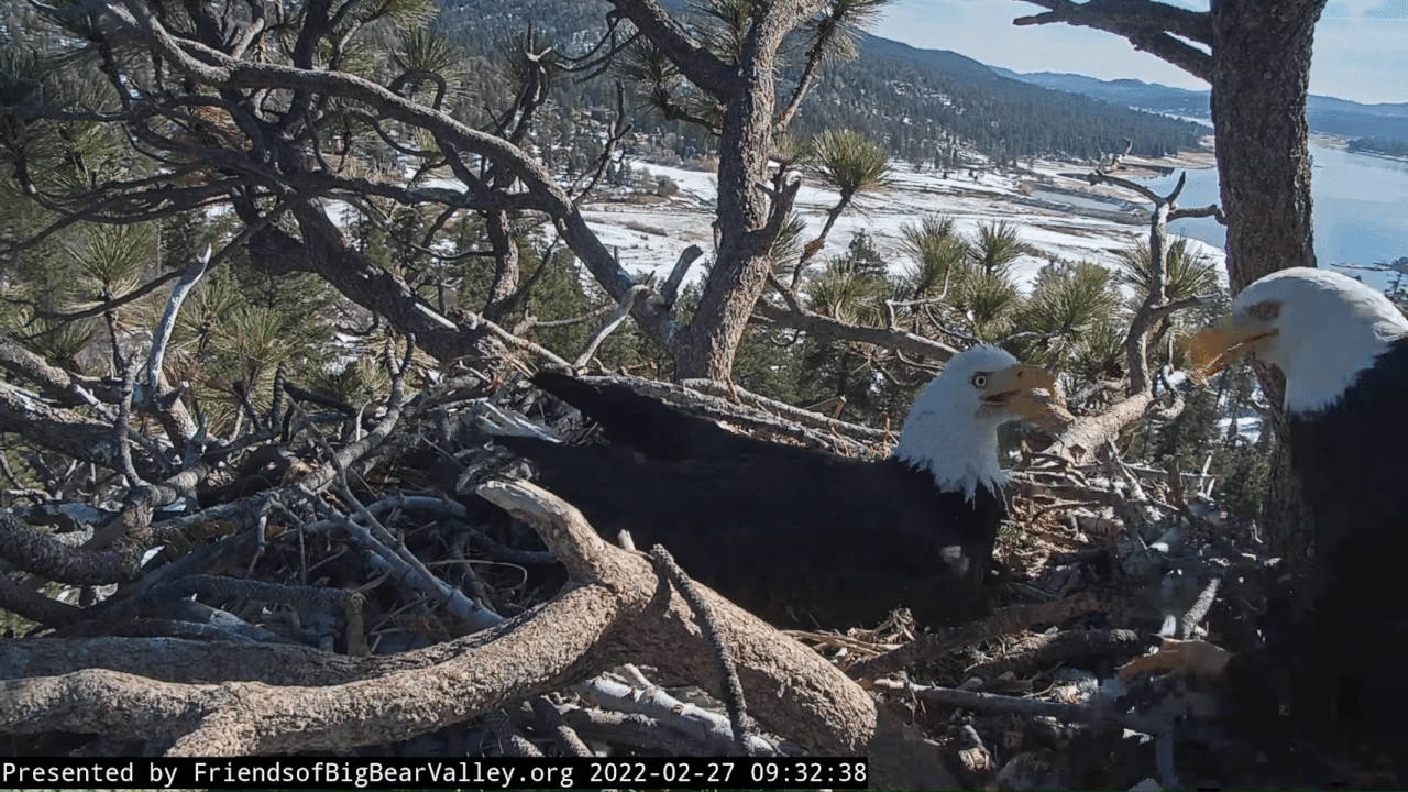 Webp.net-gifmaker (6)