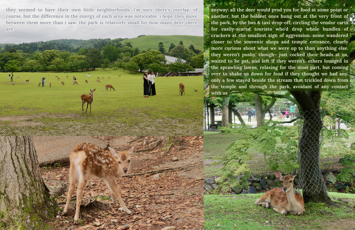 The second page of a zine titled 'the deer in nara are easy to love'.