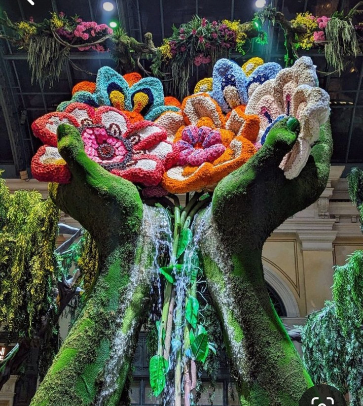 Screenshot_20240425_224429_Pinterest