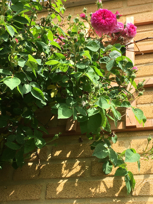 770B8736-662F-411E-89CB-1FFE214FF2DC